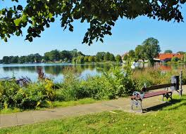 Foto de un bonito paisaje de naturaleza donde se ve un banco vegetación y un lago de agua. Como tratar la ansiedad, como tratar la depresión, tratar el estrés, alimentación sana, relación del nervio vago con la ansiedad, como cuidar el nervio vago, técnicas de relajación.